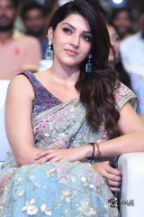 Raja The Great Movie Pre Release Function